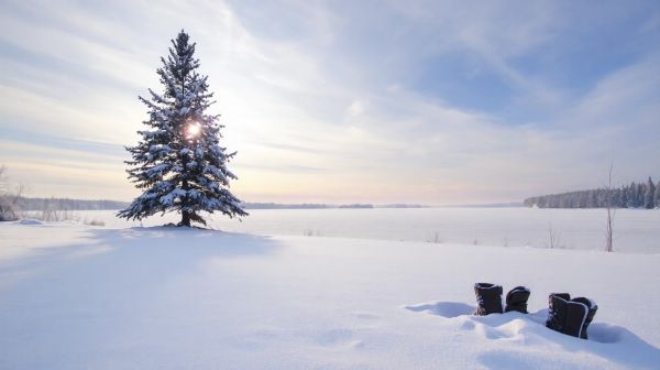Stratégies efficaces pour prévenir dégâts de gel et neige