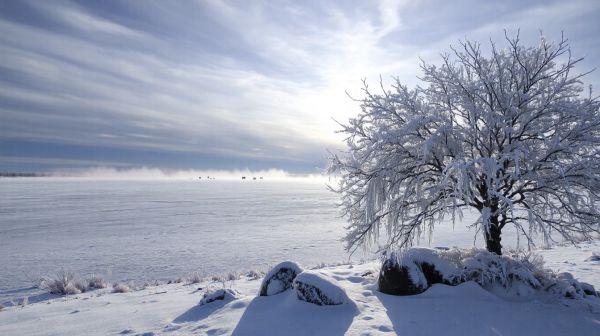 Stratégies efficaces pour prévenir dégâts de gel et neige
