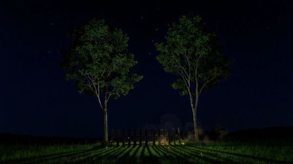 Top solutions d'occultation pour des nuits paisibles sans lumière